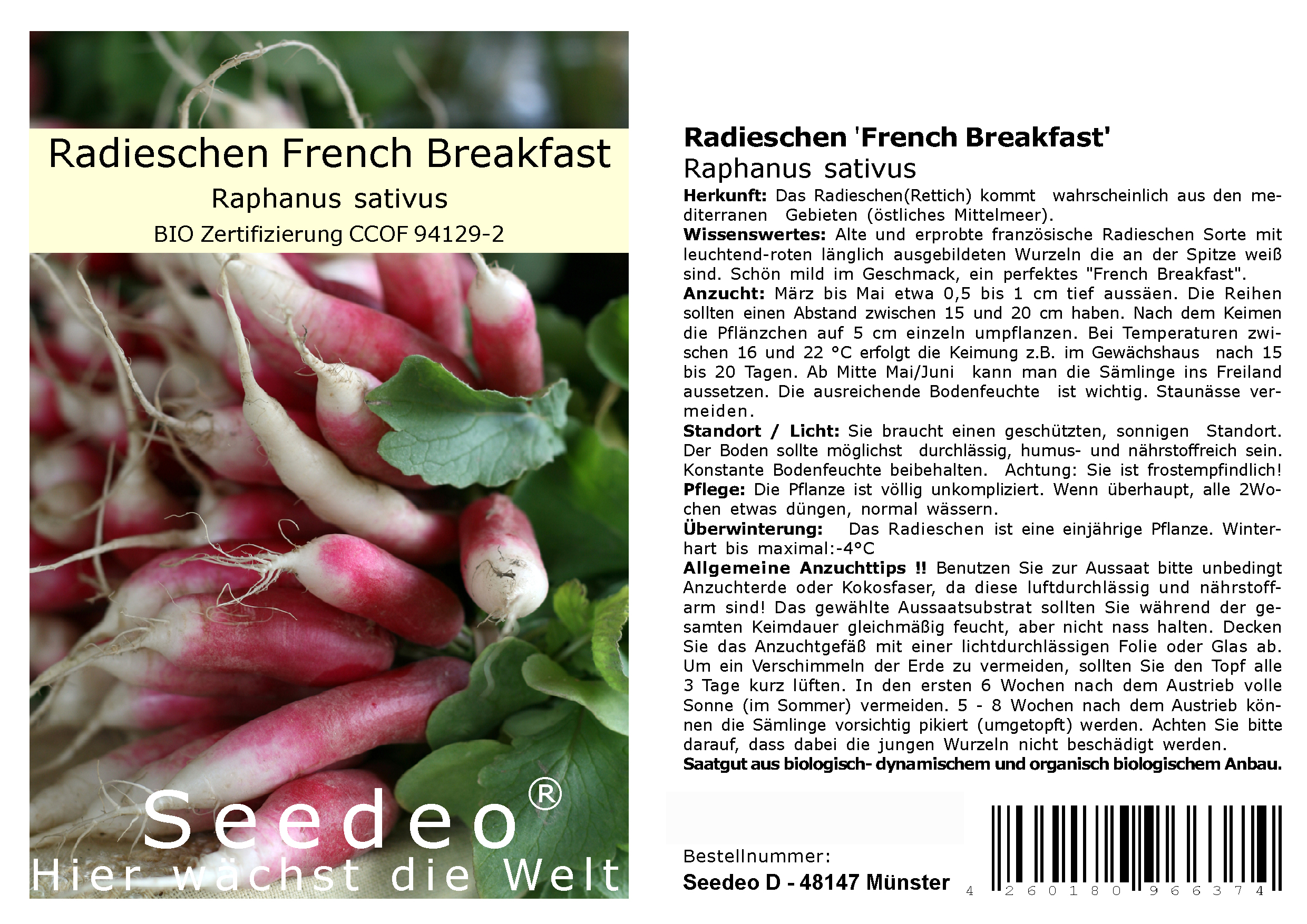 Seedeo® Radieschen 'French Breakfast' ( Raphanus sativus ) 200 Samen BIO