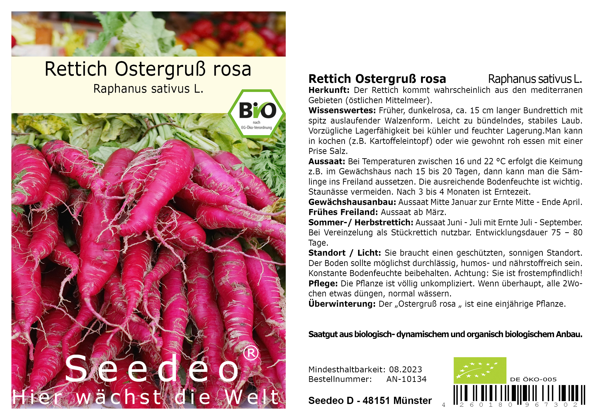 Seedeo® Rettich Ostergruß rosa (Raphanus sativus L.) 250 Samen BIO