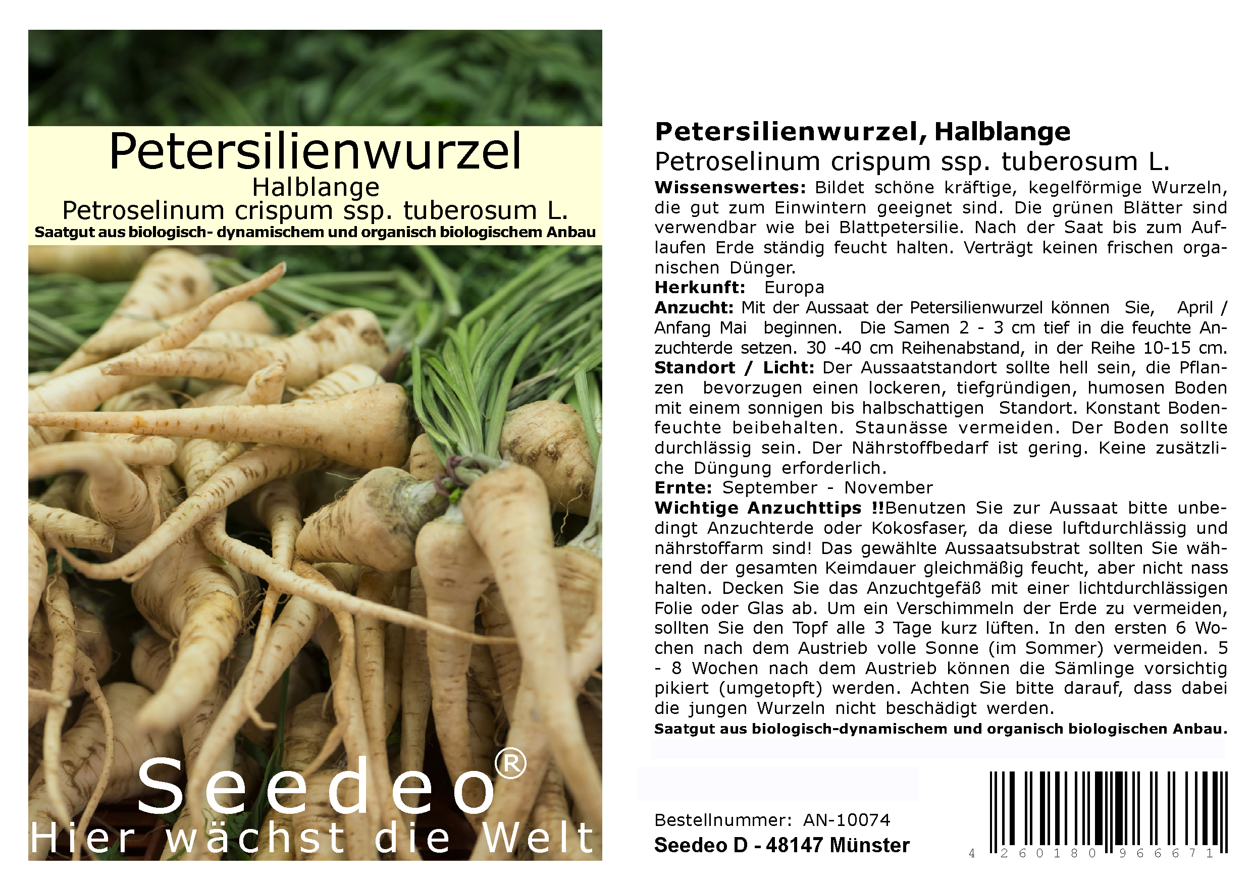Seedeo® Petersilienwurzel, Halblange  Petroselinum crispum ssp. tuberosum L. 300 Samen BIO