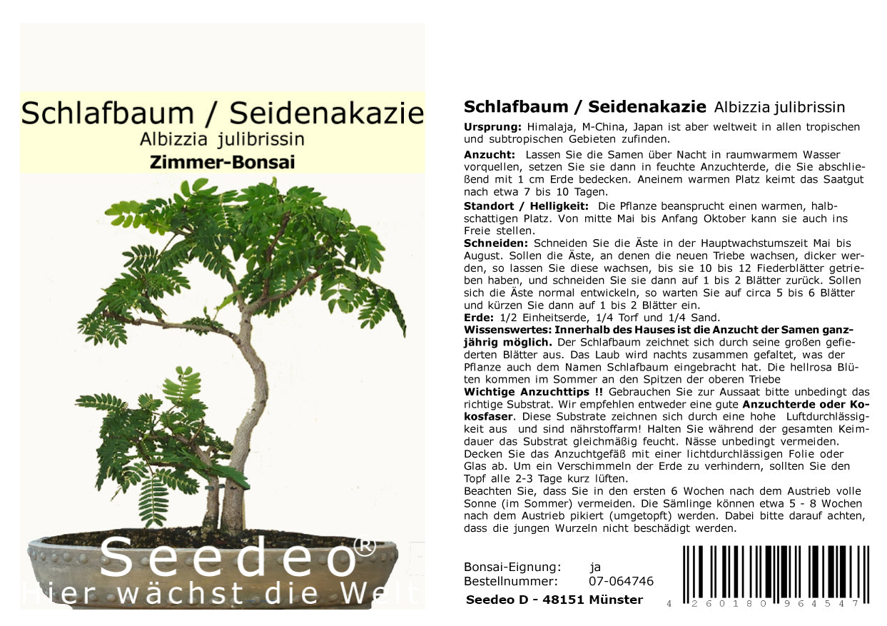 Seedeo® Bonsai Anzuchtset Mediteran deluxe (Echte Myrte, Ölbaum, Zwerg Granatapfel, Schlafbaum)