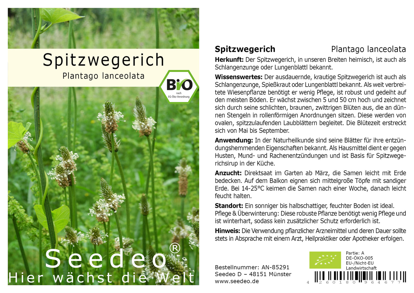 Seedeo® Spitzwegerich (Plantago lanceolata) 300 Samen BIO