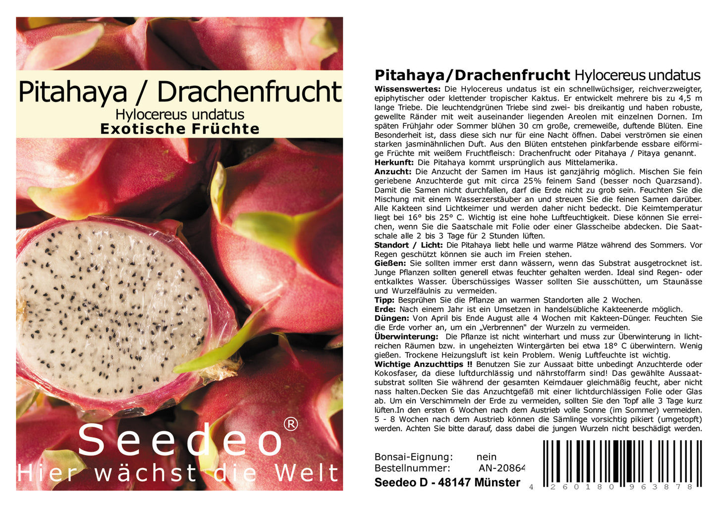 Seedeo® Pitahaya/Drachenfrucht Hylocereus undatus 20 Samen