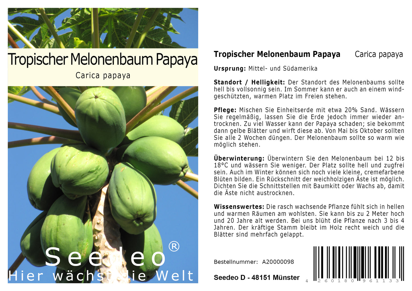 Seedeo® Tropischer Melonenbaum (Papaya Carica Papaya) 25 Samen