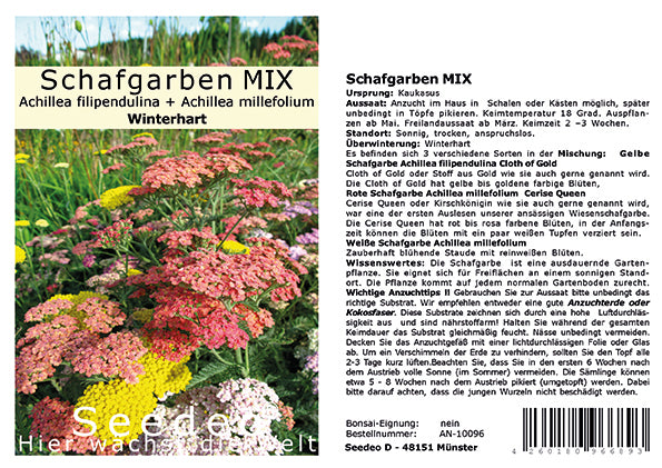 Seedeo® Schafgarben MIX (Achillea filipendulina + Achillea millefolium) 300 Samen