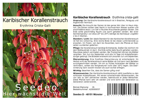 Seedeo® Karibischer Korallenstrauch (Erythrina Crista-Galli) 8 Samen