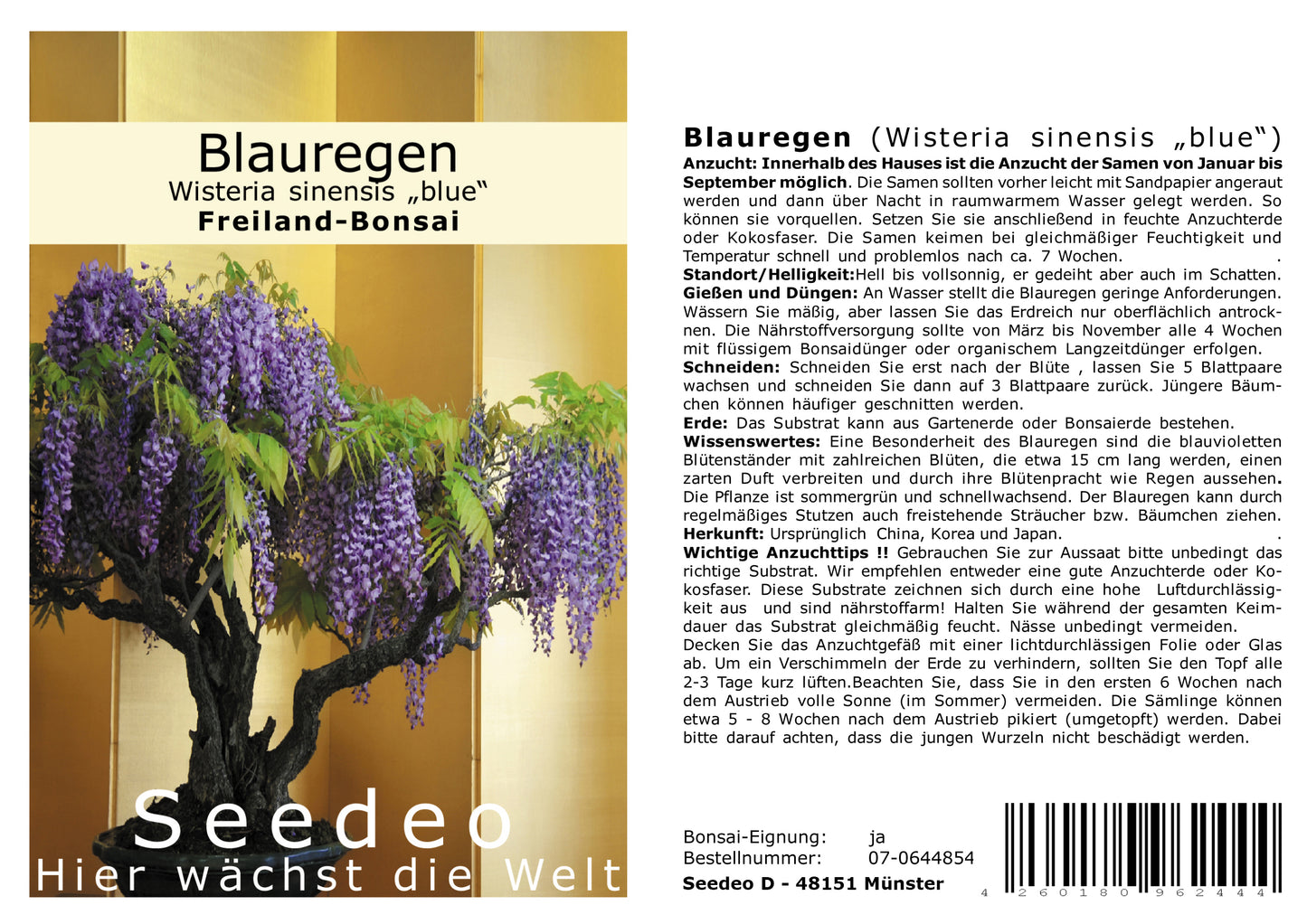 Seedeo® Bonsai Anzuchtset Fernost deluxe (Roter Fächerahorn, Weißer Maulbeerbaum, Blauregen, Mädchenkiefer.)