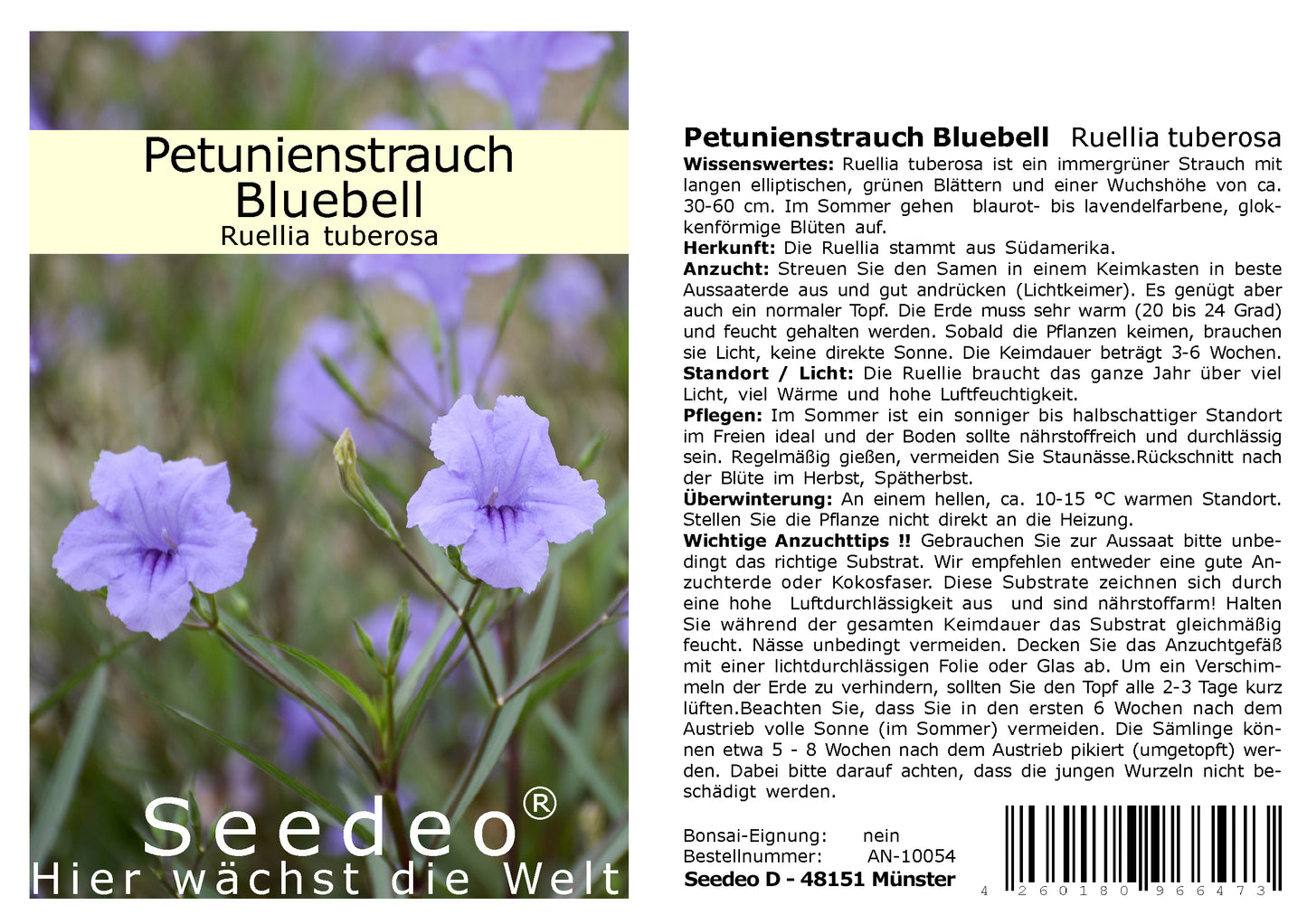 Seedeo® Petunienstrauch Bluebell (Ruellia tuberosa) 40 Samen