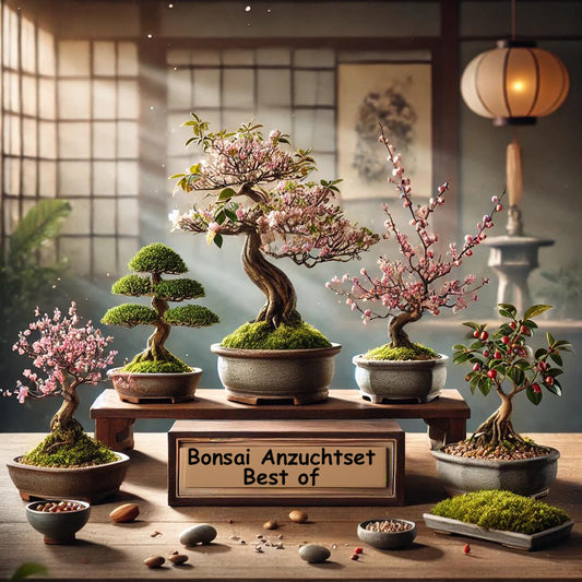 Seedeo® Bonsai Anzuchtset Deluxe Best Off (Echte Myrte, Ölbaum, Zwerg Granatapfel, Schlafbaum)