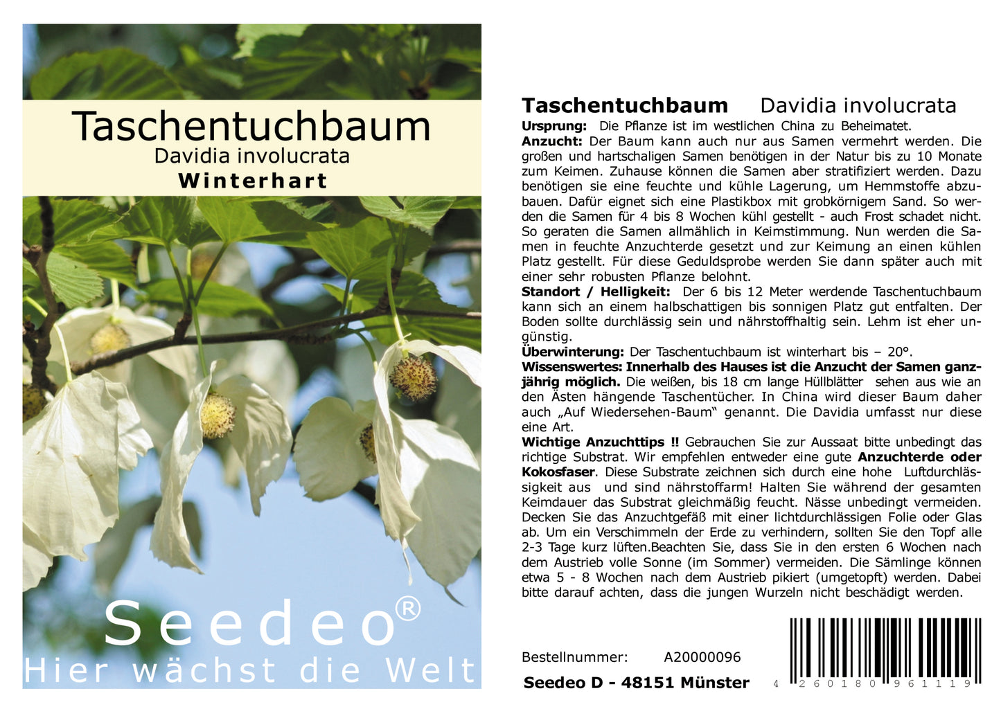 Seedeo® Gewächshaus Botanische Juwelen aus China