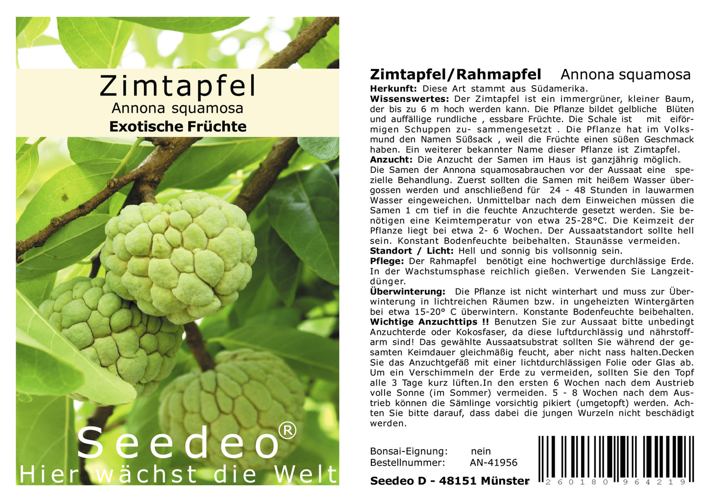 Seedeo® Zimtapfel/Rahmapfel (Annona squamosa) 25 Samen