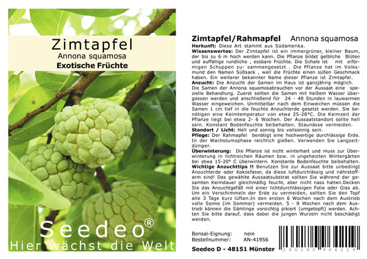 Seedeo® Zimtapfel/Rahmapfel (Annona squamosa) 25 Samen