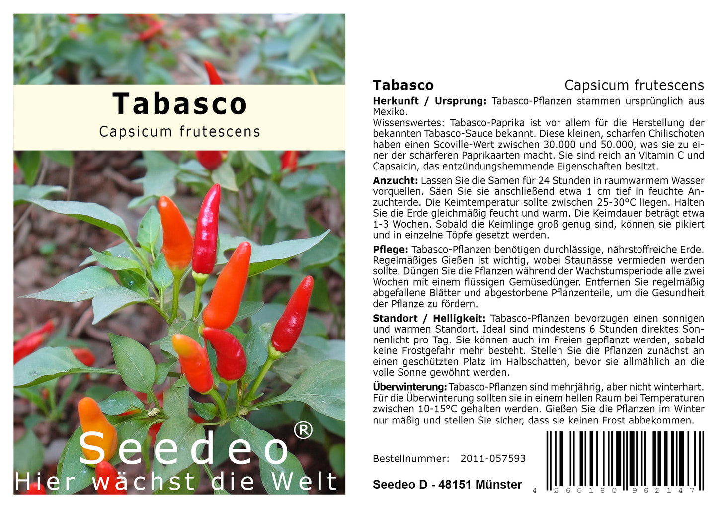 Seedeo® Tabasco (Capsicum frutescens) 20 Samen