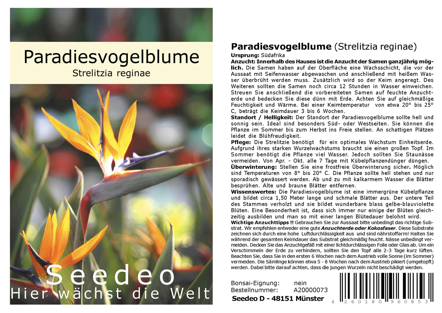 Seedeo® Paradiesvogelblume (Strelitzia Reginae) 10 Samen