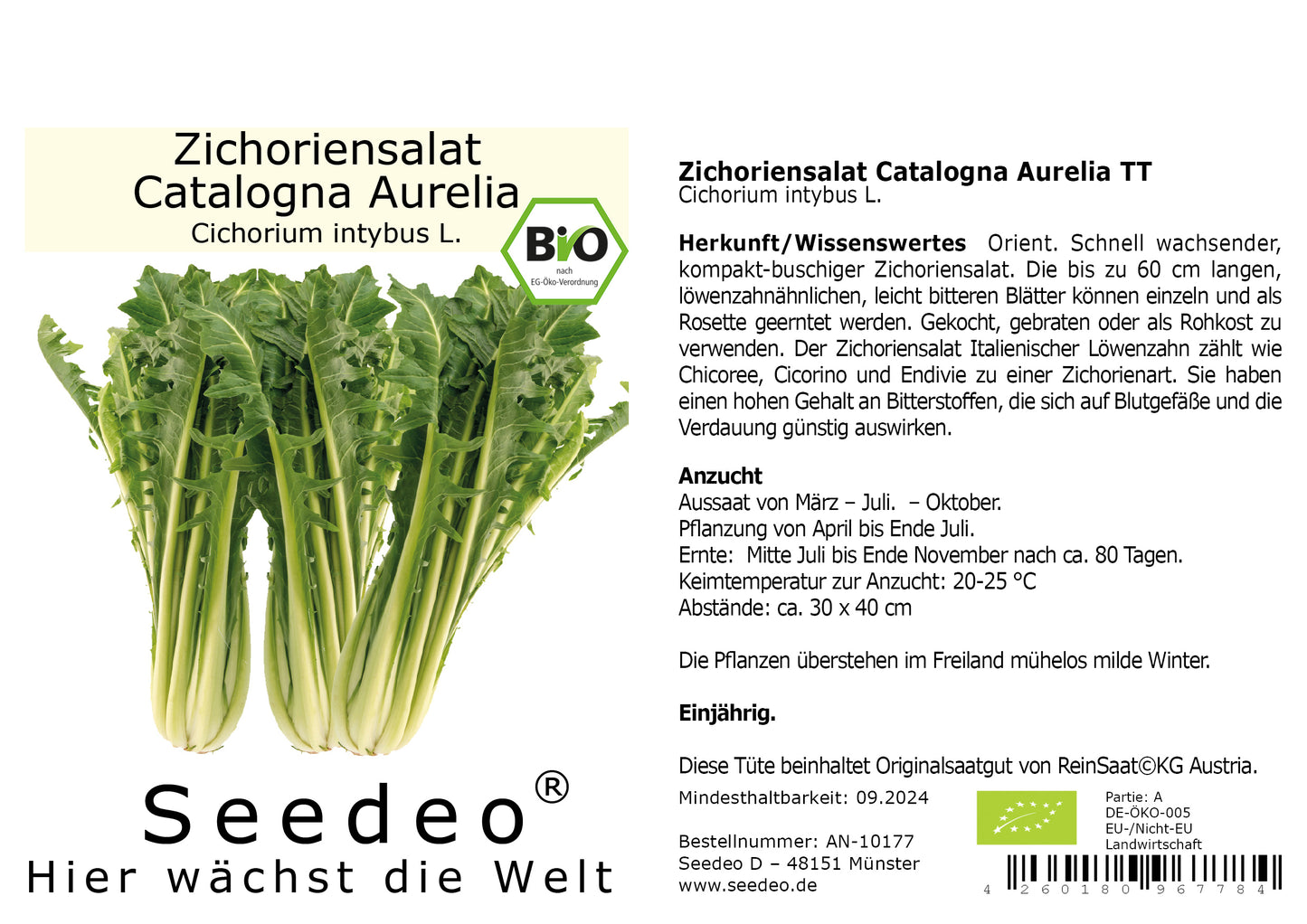 Seedeo® Zichoriensalat Catalogna Aurelia TT (Cichorium intybus L.) ca. 80 Samen BIO