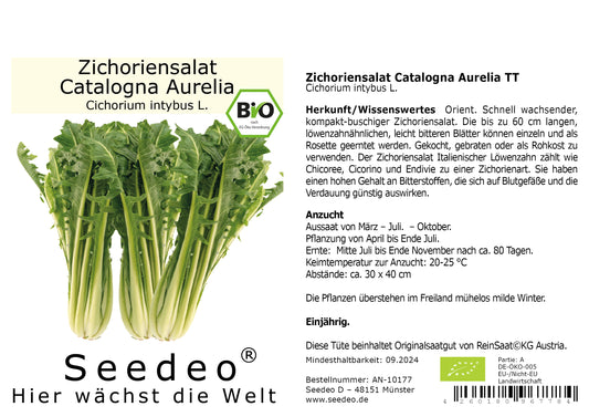 Seedeo® Zichoriensalat Catalogna Aurelia TT (Cichorium intybus L.) ca. 80 Samen BIO