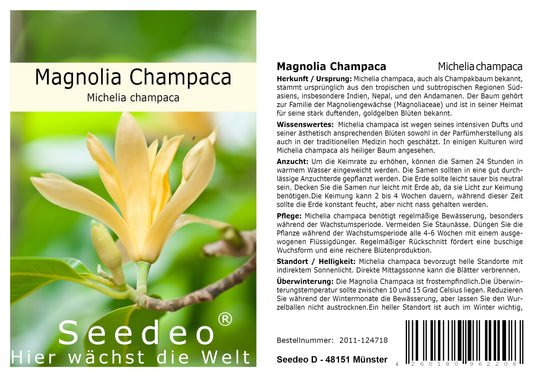 Seedeo® Magnolia champaca ( Michelia Champaca)  15 Samen