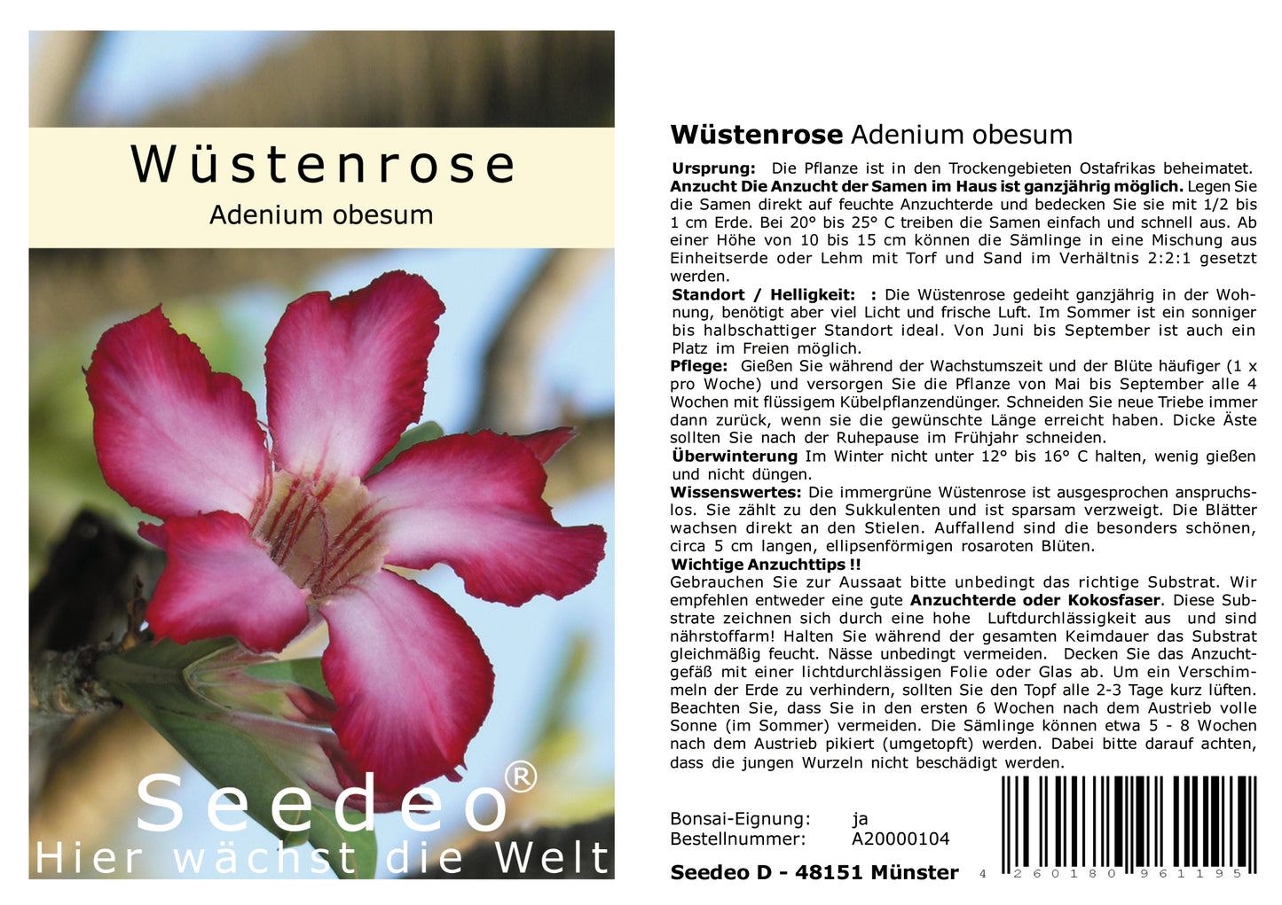 Seedeo® Wüstenrose (Adenium obesum) 8 Samen