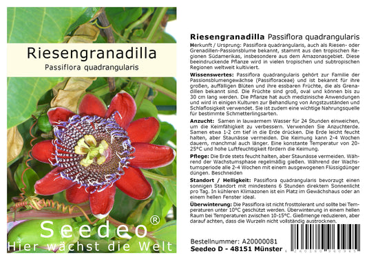 Seedeo® Riesengranadilla (Passiflora quadrangularis) 10 Samen