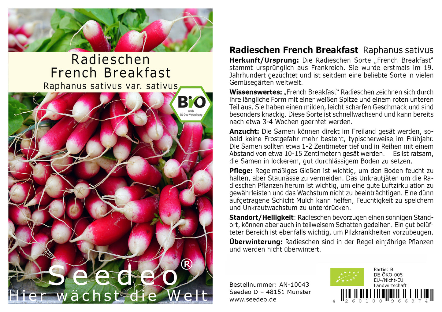 Seedeo® Radieschen 'French Breakfast' ( Raphanus sativus ) 200 Samen BIO