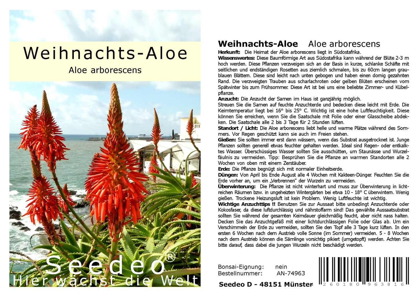 Seedeo® Weihnachts-Aloe (Aloe arborescens) 10 Samen