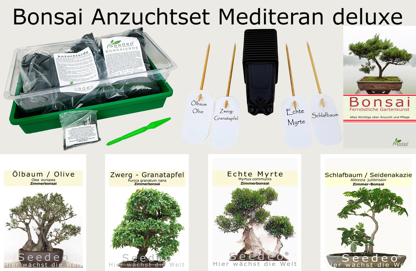 Seedeo® Bonsai Anzuchtset Mediteran deluxe (Echte Myrte, Ölbaum, Zwerg Granatapfel, Schlafbaum)