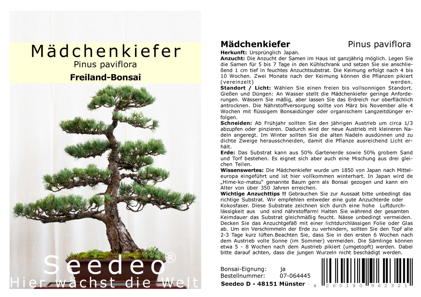 Seedeo® Bonsai Anzuchtset Fernost deluxe (Roter Fächerahorn, Weißer Maulbeerbaum, Blauregen, Mädchenkiefer.)