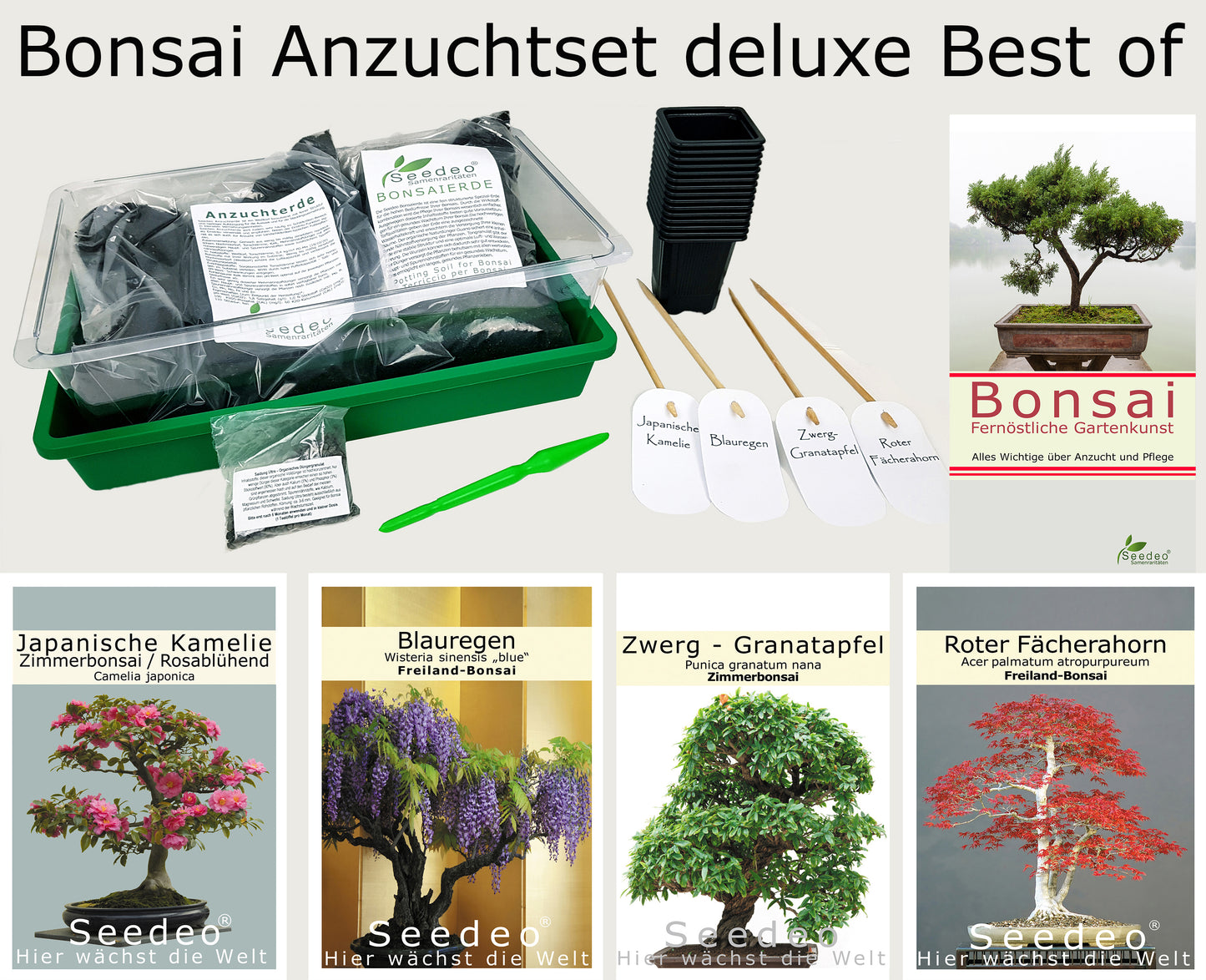 Seedeo® Bonsai Anzuchtset Deluxe Best Off (Echte Myrte, Ölbaum, Zwerg Granatapfel, Schlafbaum)