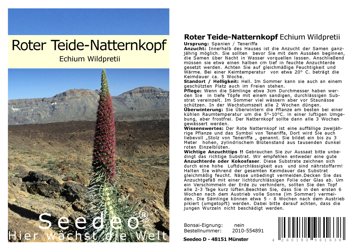 Seedeo® Roter Teide-Natternkopf ( Echium wildpretii ) 10 Samen