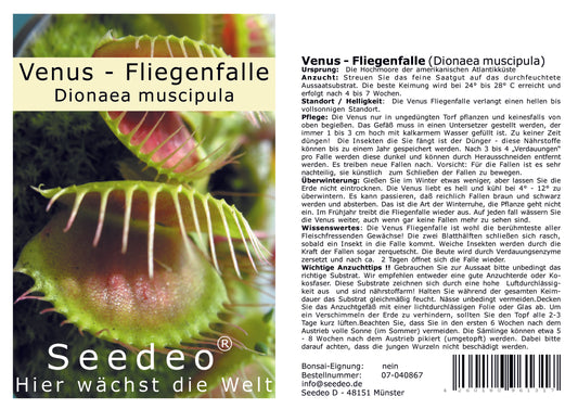 Seedeo® Venus - Fliegenfalle (Dionaea muscipula) 10 Korn inkl. Anzuchtsubstrat