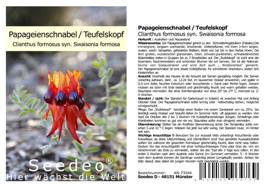 Seedeo® Papageienschnabel/Teufelskopf (Clianthus formosus syn. Swaisonia formosa) 30 Samen