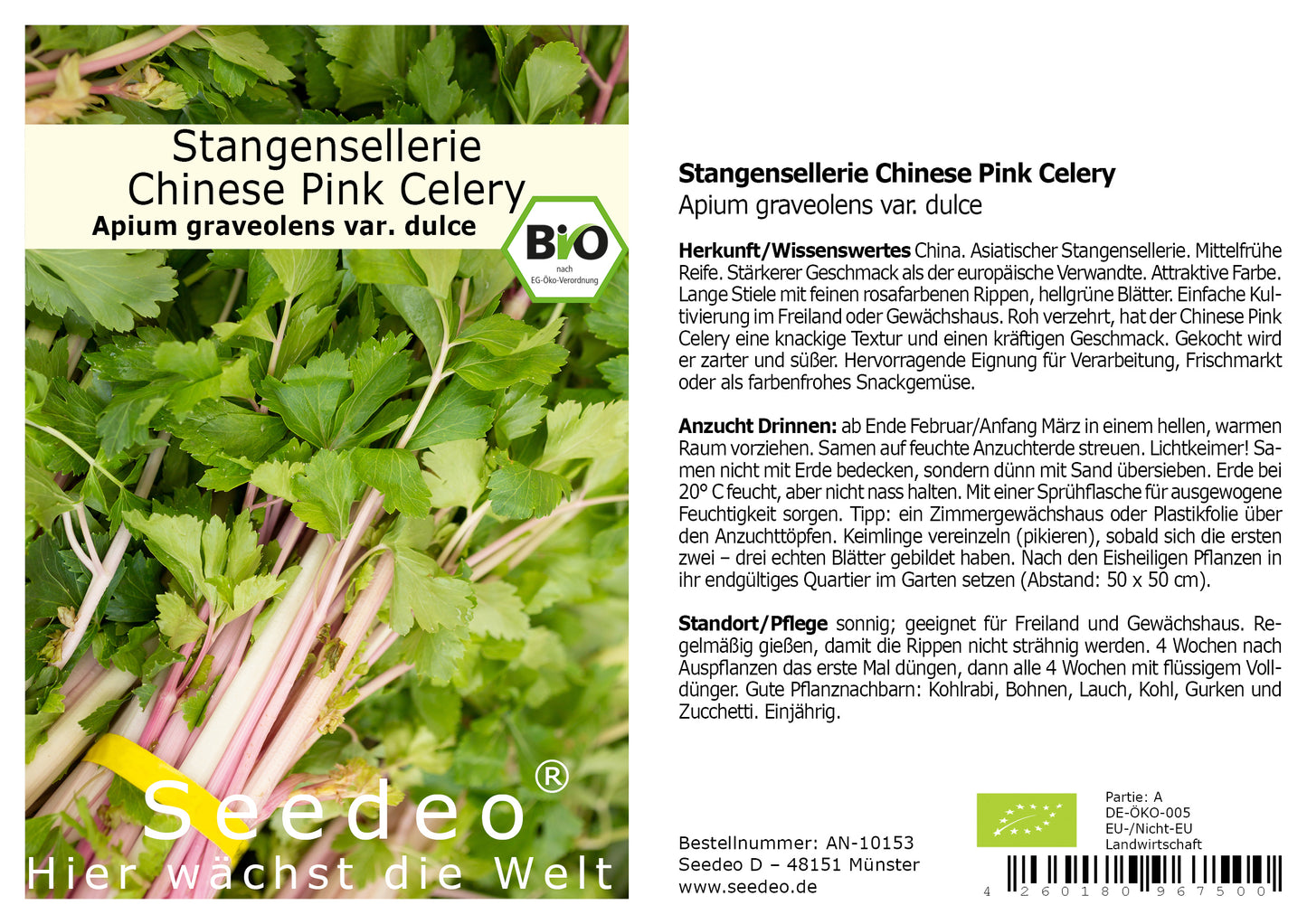 Seedeo® Stangensellerie Chinese Pink Celery (Apium graveolens var. dulce) ca. 100 Samen BIO