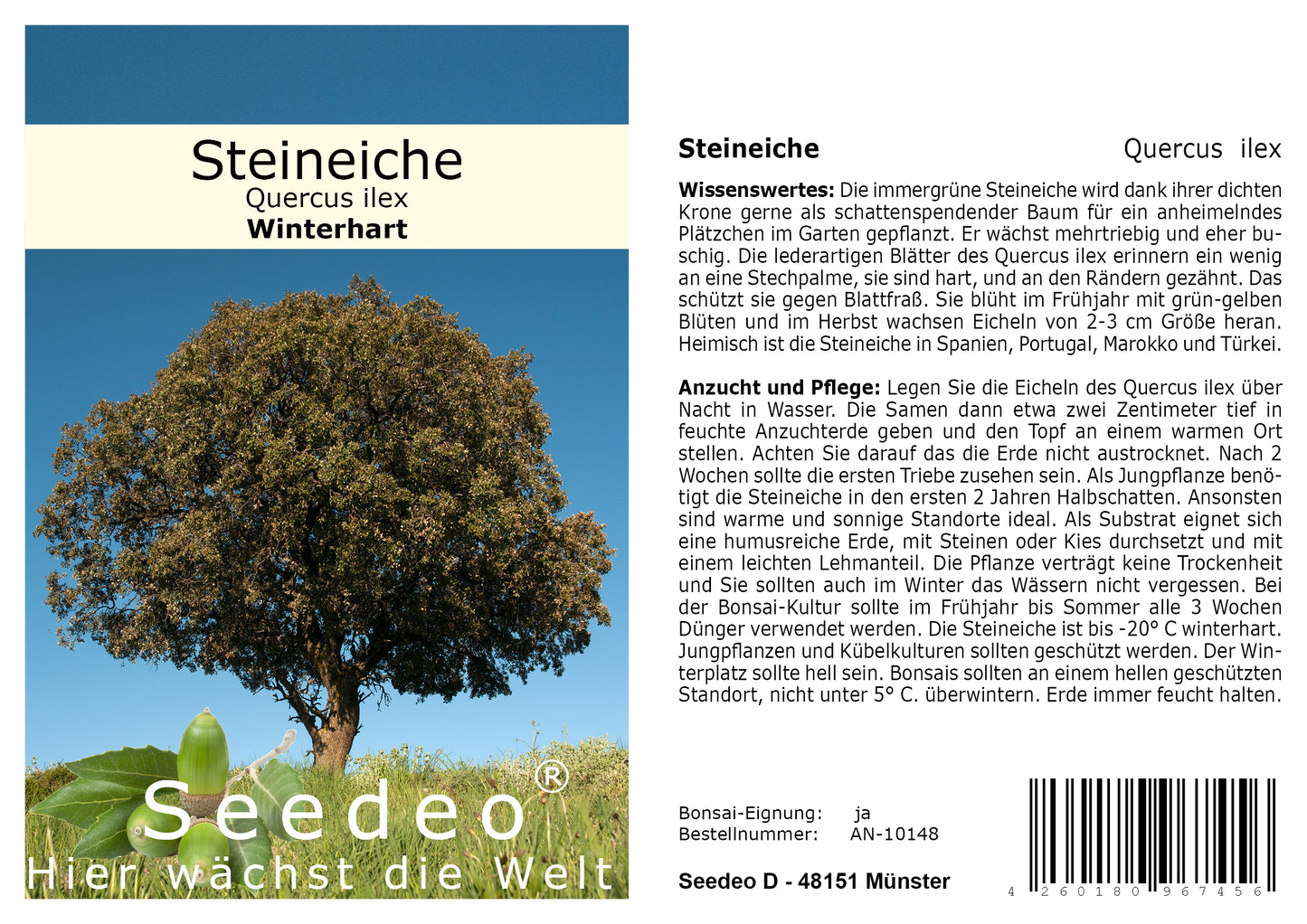 Seedeo® Gartenjuwelen: 6 verschiedene Eichen als Jungpflanzen