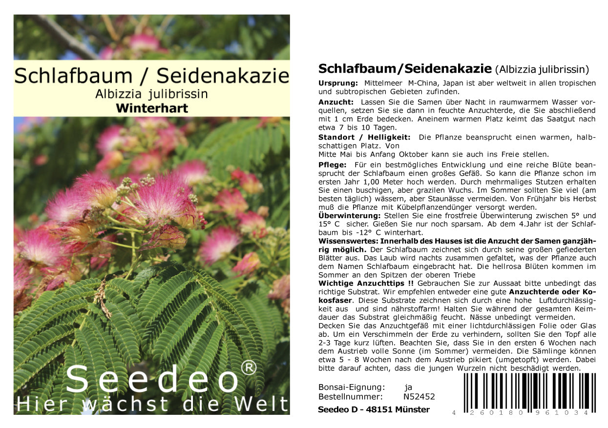 Seedeo® Seidenakazie/Schlafbaum (Albizzia julibrissin) 50 Samen