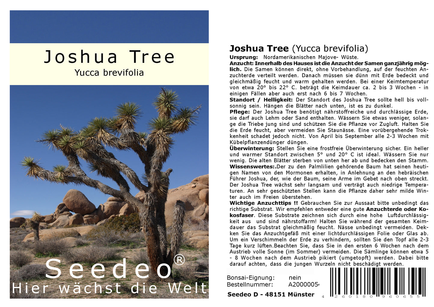 Seedeo® Joshua Tree (Yucca brevifolia) 10 Samen