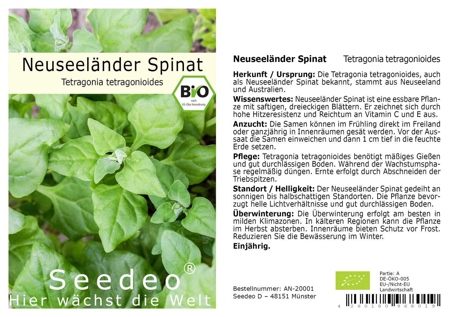 Seedeo® Neuseeländer Spinat (Tetragonia tetragonioides) 20 Samen BIO