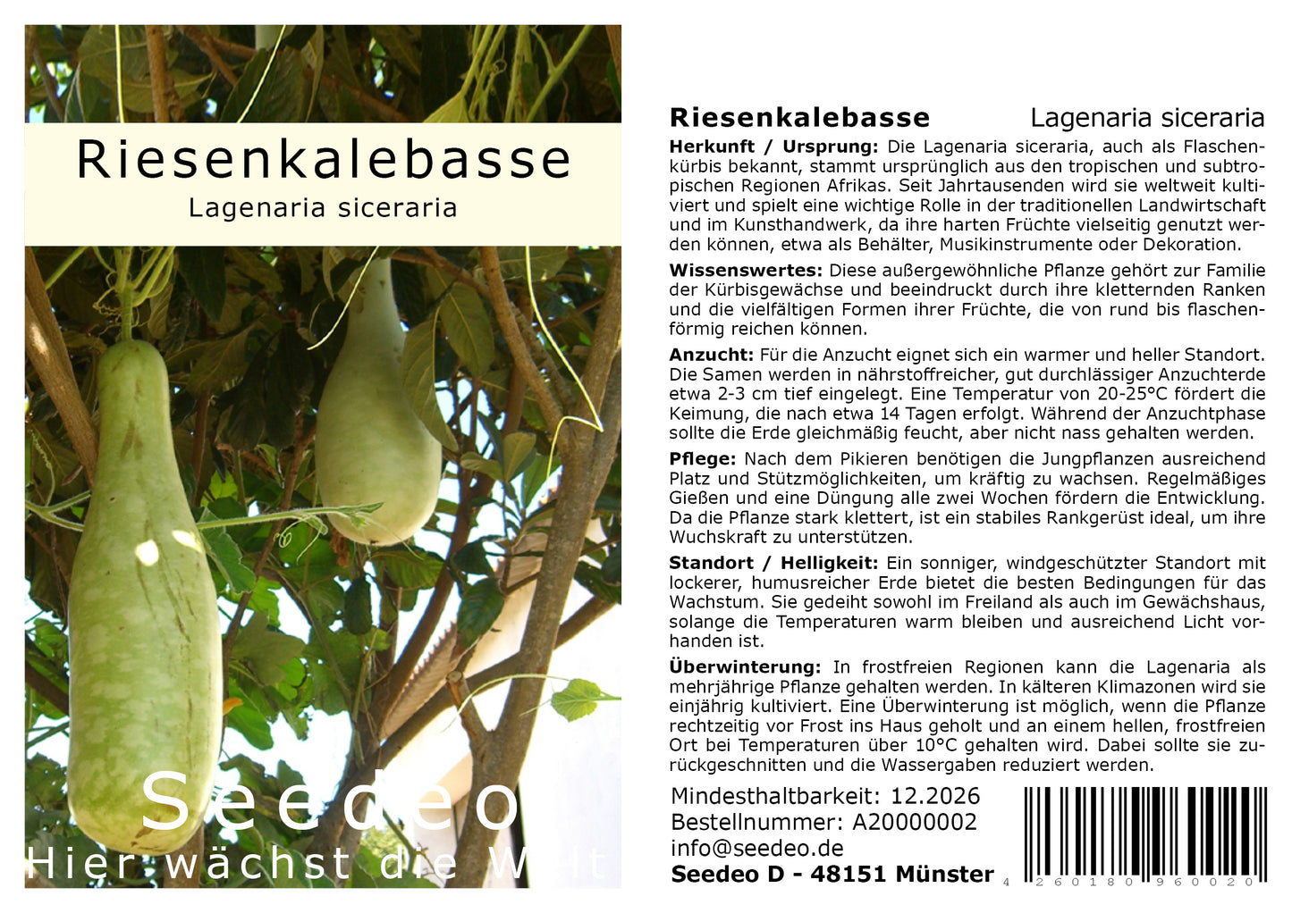 Seedeo® Afrikanische Riesenkalebasse (Lagenaria siceraria ) 10 Samen