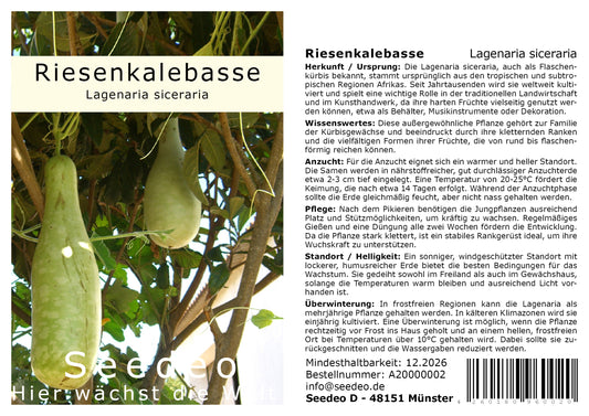 Seedeo® Afrikanische Riesenkalebasse (Lagenaria siceraria ) 10 Samen