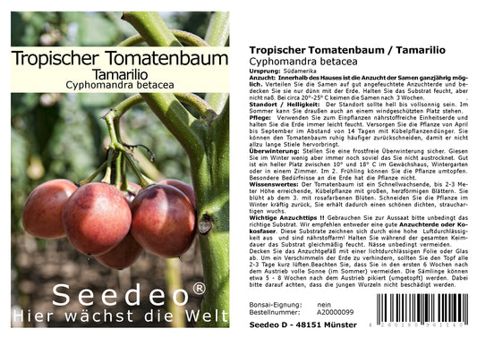 Seedeo® Tropischer Tomatenbaum / Tamarillo 40 Samen