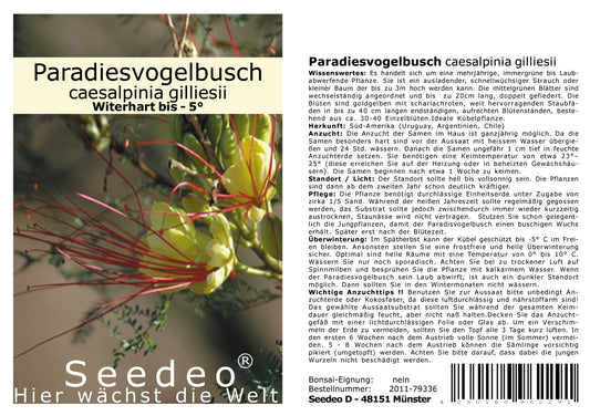 Seedeo® Paradiesvogelbusch (caesalpinia gilliesii) 10 Samen