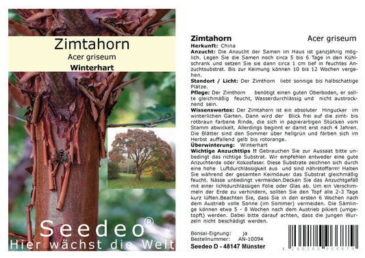 Seedeo® Zimtahorn (Acer griseum) 30 Samen