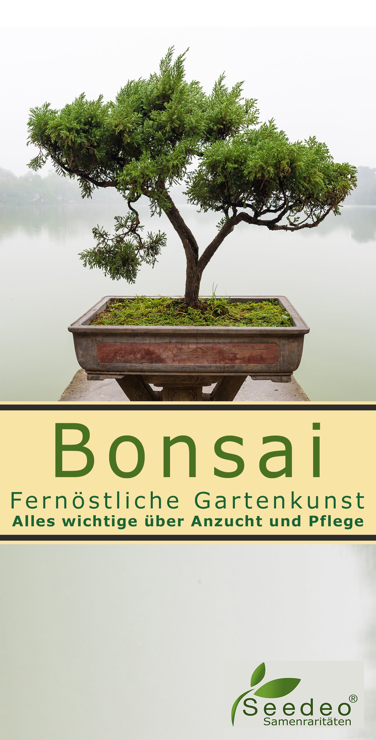 Seedeo® Bonsai Anzuchtset Mediteran deluxe (Echte Myrte, Ölbaum, Zwerg Granatapfel, Schlafbaum)