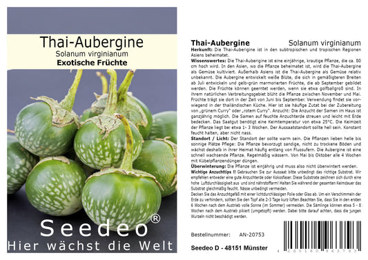 Seedeo® Thai-Aubergine Solanum virginianum  20 Samen