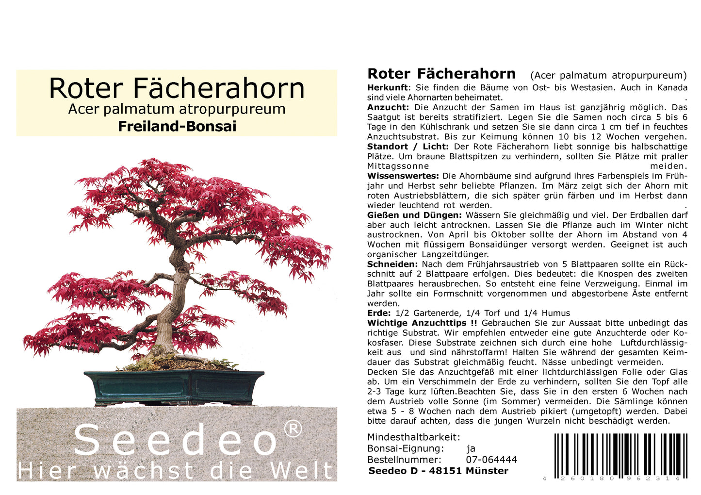 Seedeo® Bonsai Anzuchtset Fernost deluxe (Roter Fächerahorn, Weißer Maulbeerbaum, Blauregen, Mädchenkiefer.)