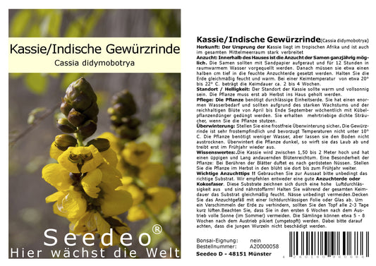 Seedeo® Kassie/Indische Gewürzrinde (Senna didymobotrya) 20 Samen