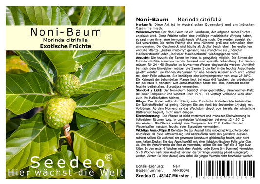 Seedeo® Noni-Baum (Morinda citrifolia ) 10 Samen