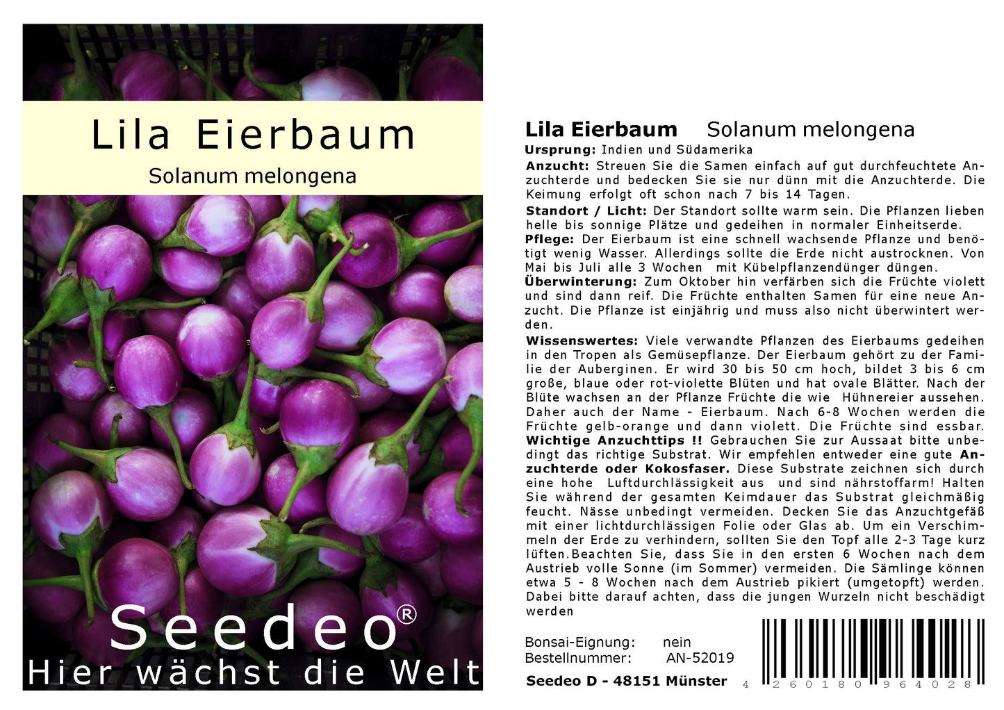 Seedeo® Lila Eierbaum (Solanum melongena) 20 Samen