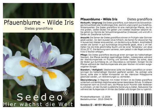 Seedeo® Pfauenblume - Wilde Iris (Dietes grandiflora) 10 Samen