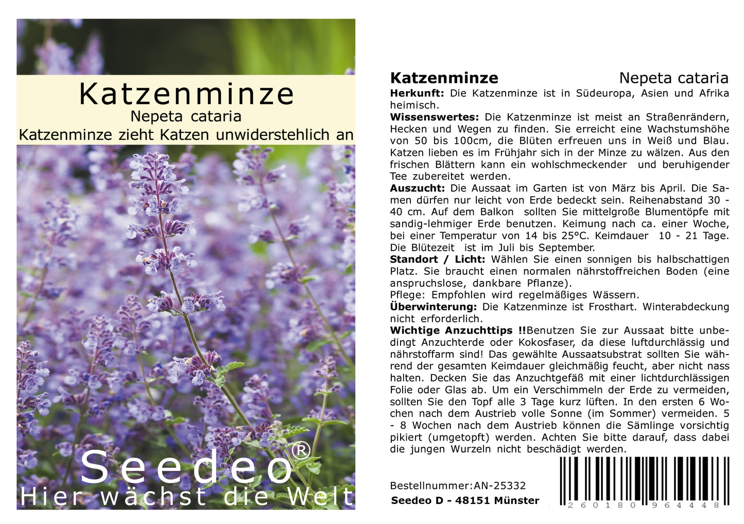 Seedeo® Katzenminze ( Nepeta cataria ) 1000 Samen