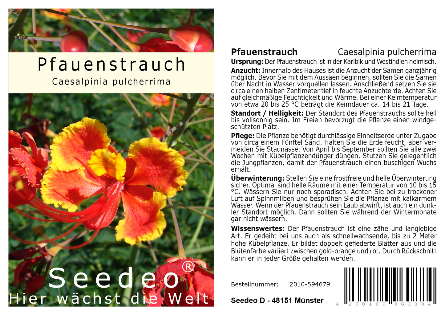 Seedeo® Pfauenstrauch (Caesalpinia pulcherrima) 10 Samen