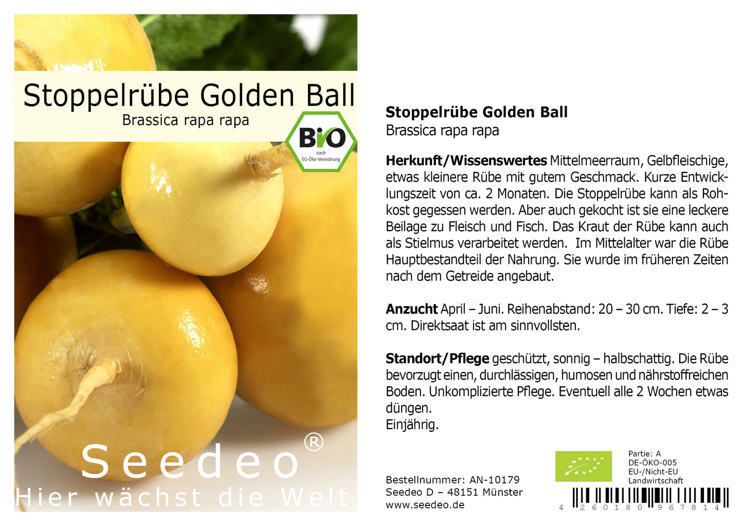 Seedeo® Stoppelrübe Golden Ball   (Brassica rapa rapa)  ca. 200 Samen BIO